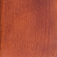 Красно-коричневый 2